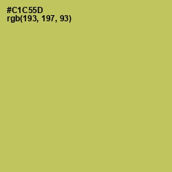#C1C55D - Wattle Color Image
