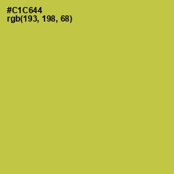 #C1C644 - Wattle Color Image