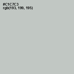 #C1C7C3 - Silver Color Image