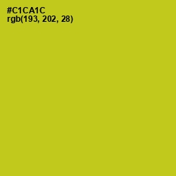 #C1CA1C - Bird Flower Color Image