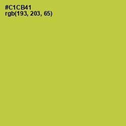 #C1CB41 - Wattle Color Image