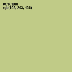 #C1CB88 - Pine Glade Color Image