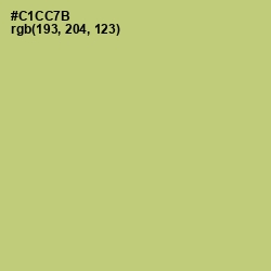 #C1CC7B - Chenin Color Image