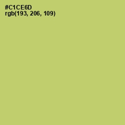 #C1CE6D - Tacha Color Image