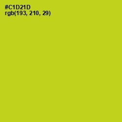 #C1D21D - Bird Flower Color Image