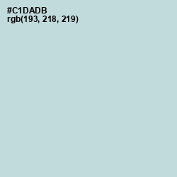 #C1DADB - Nebula Color Image