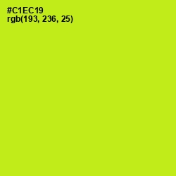 #C1EC19 - Las Palmas Color Image
