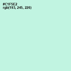 #C1F5E2 - Mint Tulip Color Image
