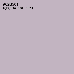 #C2B5C1 - Pale Slate Color Image