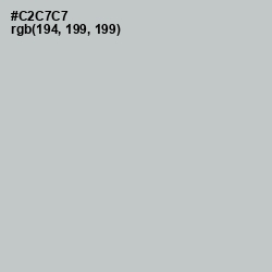 #C2C7C7 - Silver Color Image