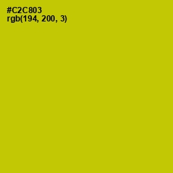 #C2C803 - Bird Flower Color Image