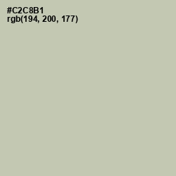 #C2C8B1 - Ash Color Image