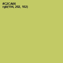#C2CA66 - Tacha Color Image