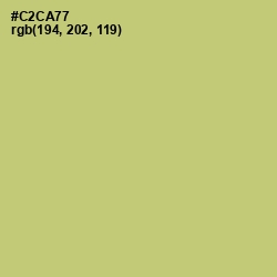 #C2CA77 - Tacha Color Image
