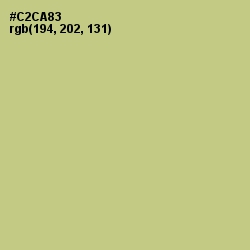 #C2CA83 - Pine Glade Color Image