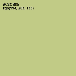 #C2CB85 - Pine Glade Color Image