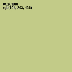 #C2CB88 - Pine Glade Color Image