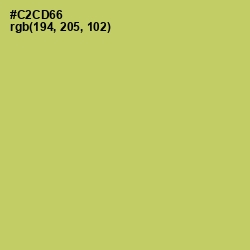 #C2CD66 - Tacha Color Image