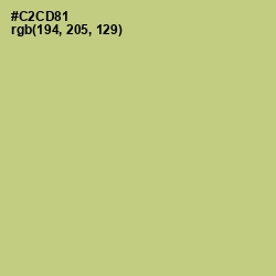 #C2CD81 - Pine Glade Color Image