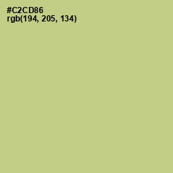 #C2CD86 - Pine Glade Color Image
