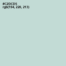 #C2DCD5 - Paris White Color Image