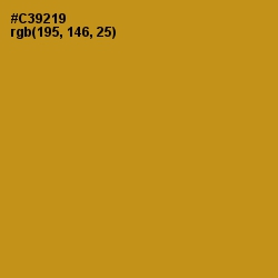 #C39219 - Pizza Color Image