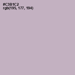 #C3B1C2 - Pale Slate Color Image