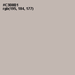 #C3B8B1 - Tea Color Image