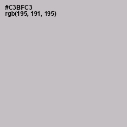 #C3BFC3 - Pale Slate Color Image