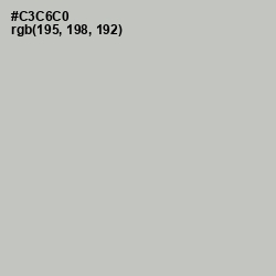 #C3C6C0 - Silver Color Image