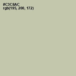 #C3C8AC - Thistle Green Color Image