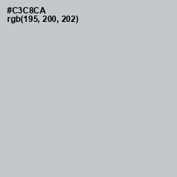 #C3C8CA - Pumice Color Image