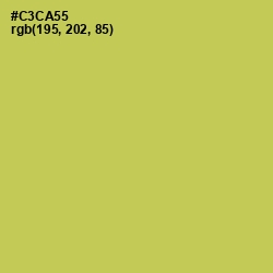 #C3CA55 - Wattle Color Image