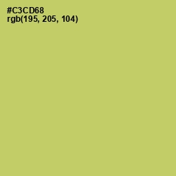 #C3CD68 - Tacha Color Image