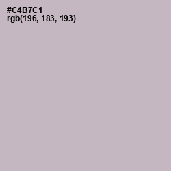 #C4B7C1 - Pale Slate Color Image