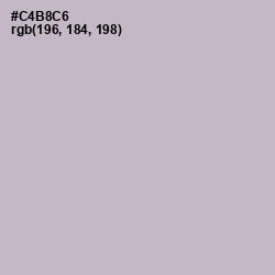 #C4B8C6 - Pale Slate Color Image