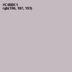 #C4BBC1 - Pale Slate Color Image