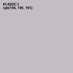 #C4BDC3 - Pale Slate Color Image