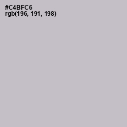 #C4BFC6 - Pale Slate Color Image