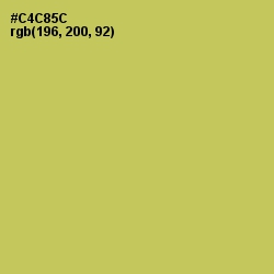 #C4C85C - Wattle Color Image