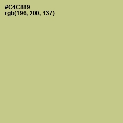 #C4C889 - Pine Glade Color Image