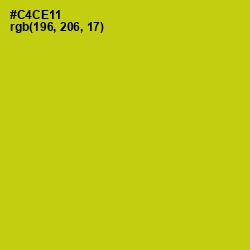 #C4CE11 - Bird Flower Color Image