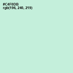 #C4F0DB - Skeptic Color Image