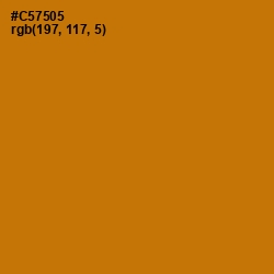 #C57505 - Indochine Color Image