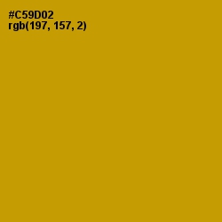 #C59D02 - Pizza Color Image