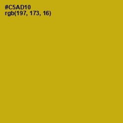 #C5AD10 - Buddha Gold Color Image