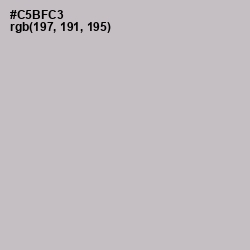 #C5BFC3 - Pale Slate Color Image