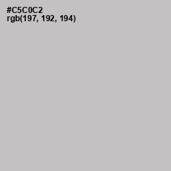 #C5C0C2 - Silver Color Image