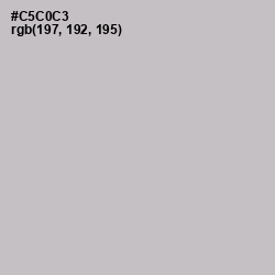 #C5C0C3 - Silver Color Image
