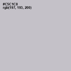 #C5C1C8 - Silver Color Image